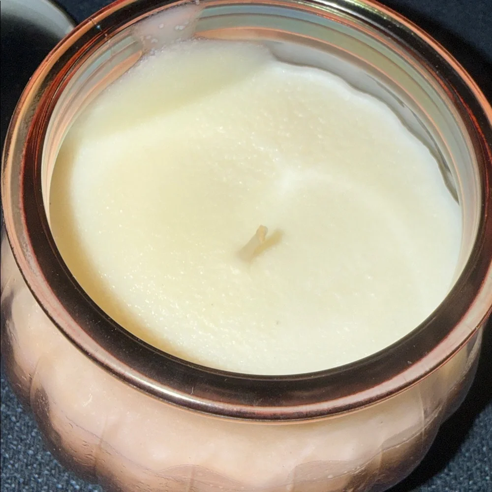 NEW- Opalhouse Wild‎ Hibiscus Sangria Soy Candle